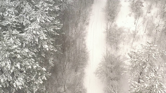 雪后森林小径在冬季雾4K航拍视频视频素材