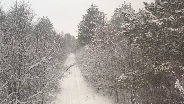 被无人机拍摄到的积雪森林小路视频素材