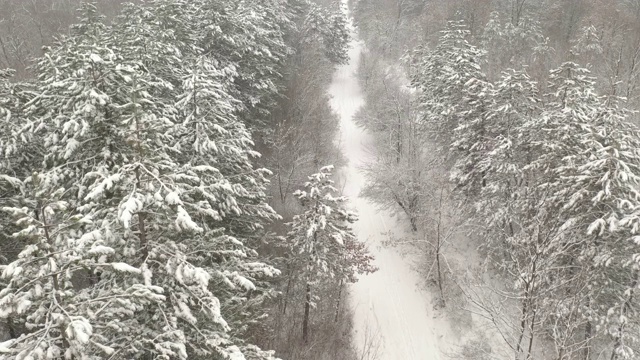 冬季风景与步道通过森林4K航拍视频视频素材