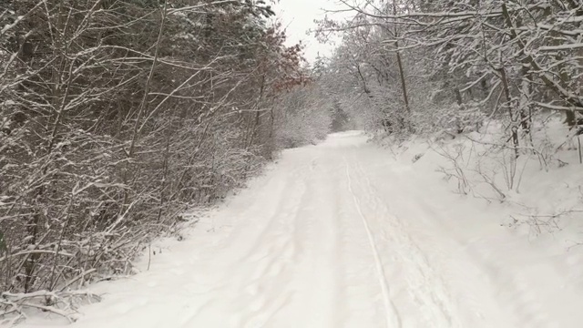 雪地里的风景4K无人机拍摄视频素材