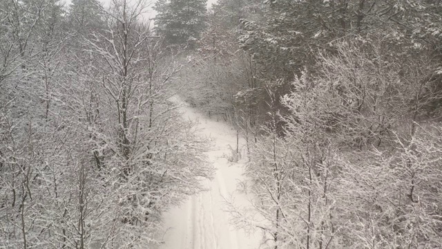 积雪的小路穿过4K空中视频拍摄的森林视频素材