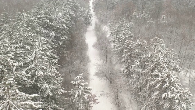 积雪的小路穿过树林，这是4K无人机拍摄的视频视频素材