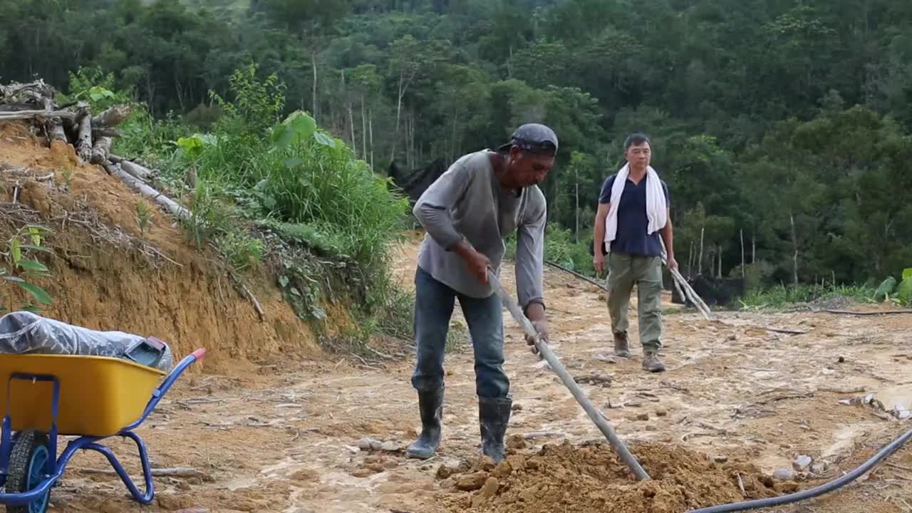 “榴莲”(多刺水果之王)企业家视频素材