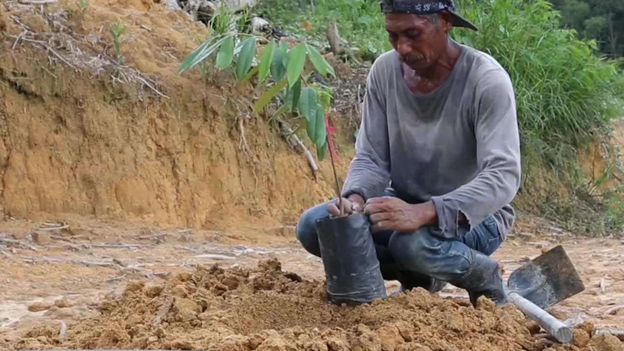 “榴莲”(多刺水果之王)企业家视频素材