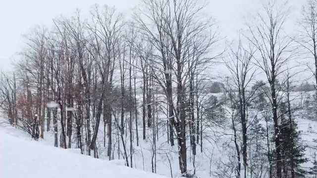 4K冬季仙境从道路驾驶的场景。视频素材