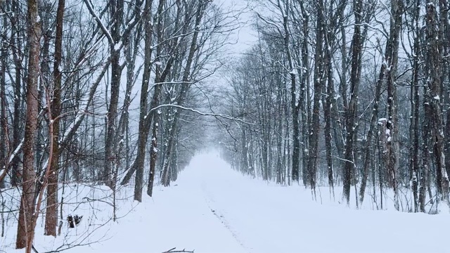 慢镜头雪花飘落的冬日景象落在孤独的乡村道路上。严酷的冬季风暴和恶劣的天气条件。视频素材