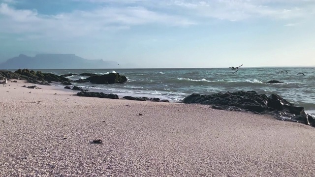 蓝色的天空中飘着小云。海水不断地溅向岸边，许多鸟儿飞得很美丽。视频素材