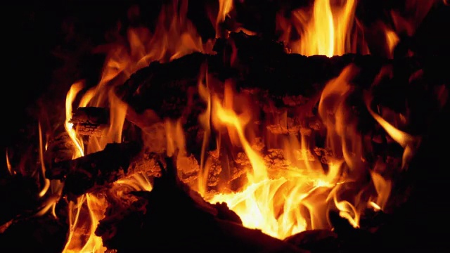 篝火。树枝上的篝火在夜晚燃烧视频素材