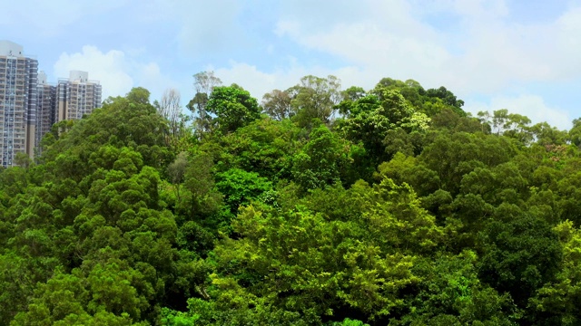 无人机拍摄的晴天空中九龙全景，香港视频素材