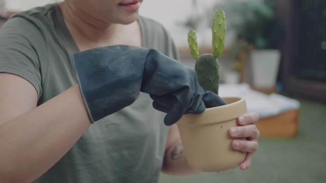 种植园妇女和她的爱好。视频素材