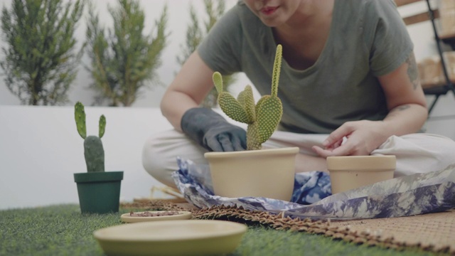 种植园妇女和她的爱好。视频素材