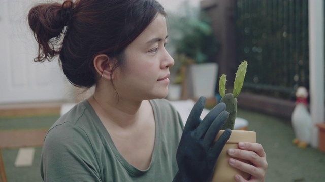 女性园丁在家照顾仙人掌植物。视频素材