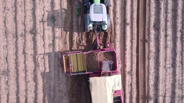拖拉机在摘土豆时被困在地里了。视频素材