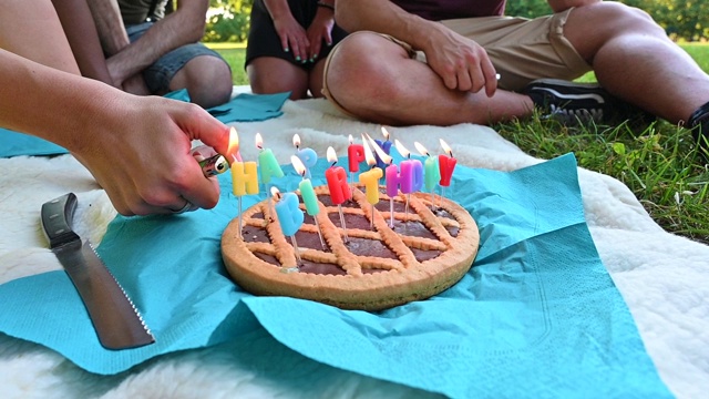 在公园里举行生日聚会。库存图片视频素材