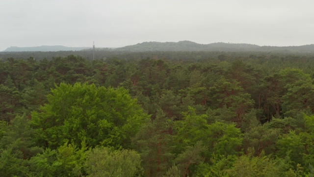 低空飞行在丰富的绿色树顶森林与云雾天空和山的背景视频素材