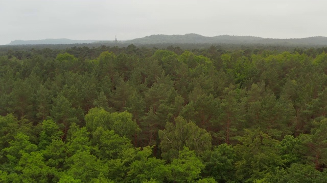 低空飞行在丰富的绿色树顶森林与云雾天空和山的背景视频下载