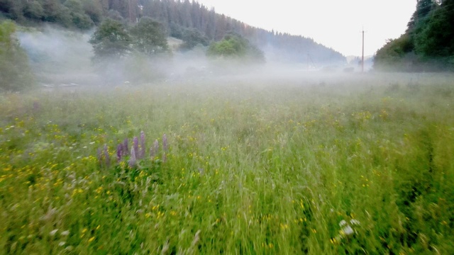 喀尔巴阡山脉，一个平静的早晨视频下载