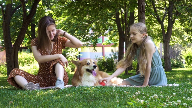 在阳光明媚的夏日，姐妹们和她们毛茸茸的柯基犬坐在公园的草坪上视频素材