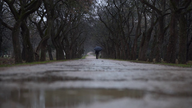 女人撑着伞走在下雨的公园小路上，树木光秃秃的视频素材