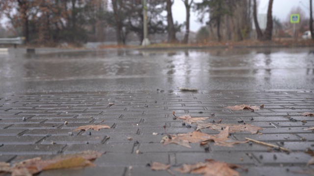 秋天的雨天，城市交通在潮湿的道路上行驶，汽车驶过一个车轮溅起水花的水坑。视频素材