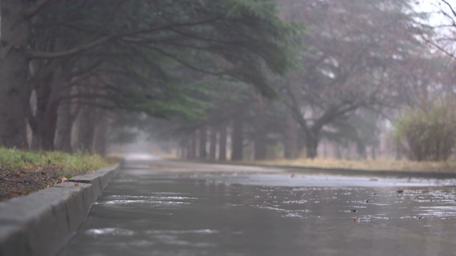 落寞的秋雨后巷有水坑，沥青路上有水坑。视频素材