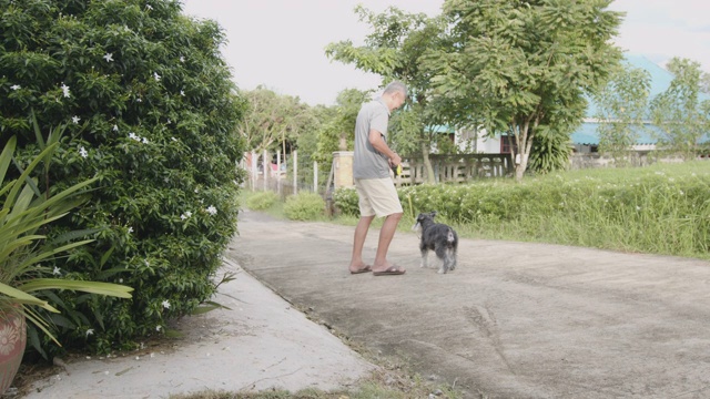 一位老人和他的雪纳瑞犬一起在外面散步。老狗与主人在休闲活动。视频素材