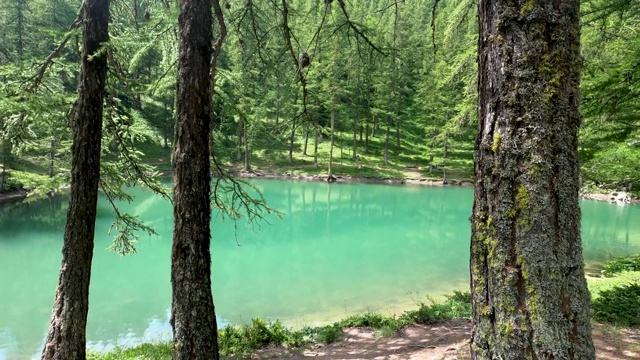 夏天森林里的湖的风景视频素材