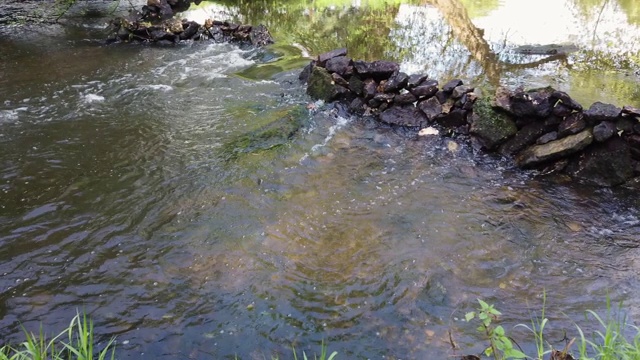 小河里的水在乡村里缓慢地流着视频素材