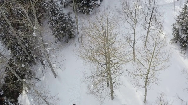 在雪地里徒步旅行的人的空中飞过视频素材