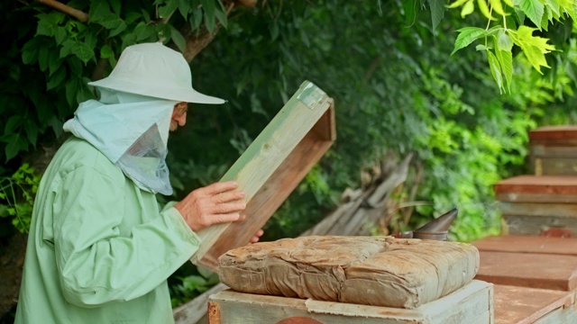 养蜂人打开蜂箱，从烟熏器里抽蜜蜂。养蜂人穿着防护服在养蜂场工作。4 k, 10位,ProRes视频素材