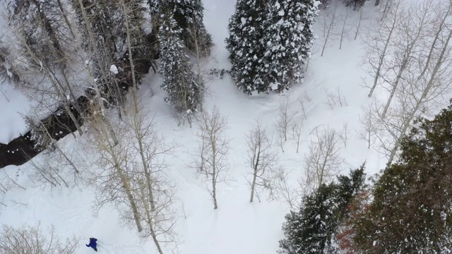 在雪地里徒步旅行的人的空中飞过视频素材