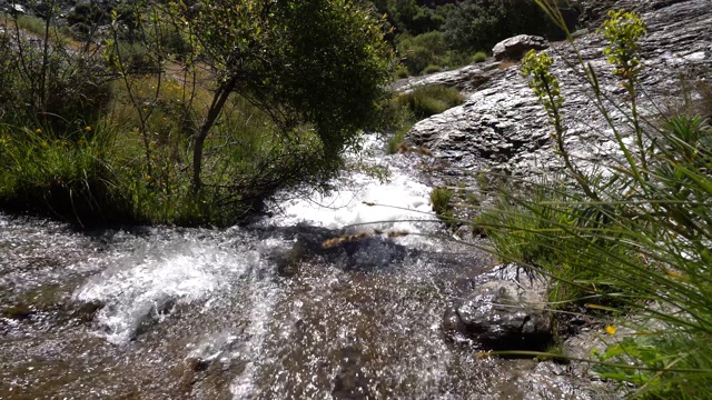 清澈的水在山上流淌视频素材