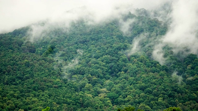 在泰国清迈的雨季，热带森林山被雨云覆盖视频素材