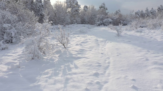 雪道由初冬清晨4K航拍拍摄视频素材