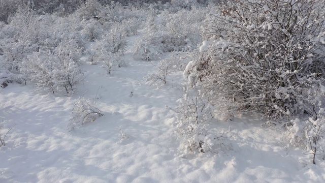 地面积雪和植被4K航拍视频视频素材