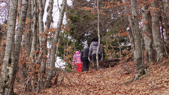 年轻的徒步旅行者在森林中走向山顶视频素材