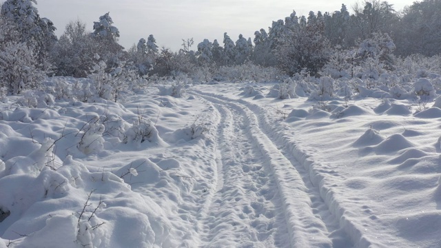 美丽的场景在树林下的雪4K无人机视频视频素材