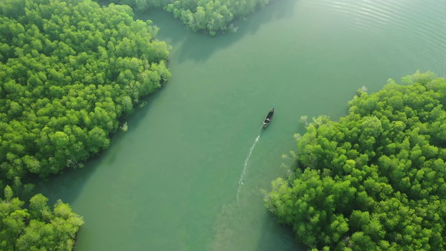 在攀牙湾的森林里，鸟瞰当地夏季绿树视频素材