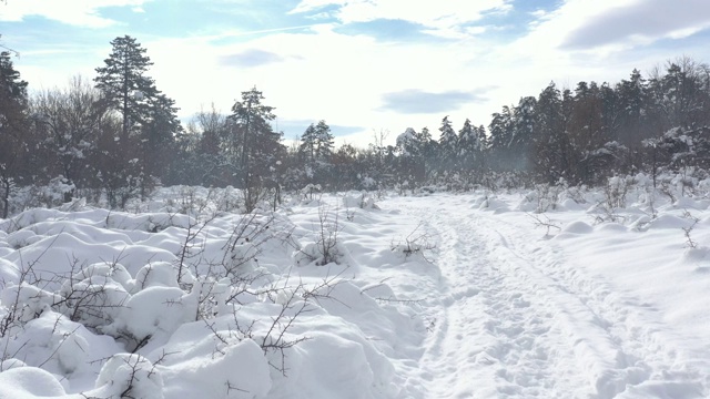 飞行飞越积雪森林踪迹4K无人机视频视频素材