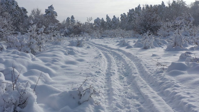 森林小径在12月下雪4K航拍镜头视频素材