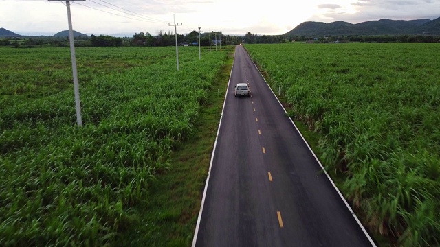 一辆汽车在高速公路上穿过乡间森林的鸟瞰图视频素材