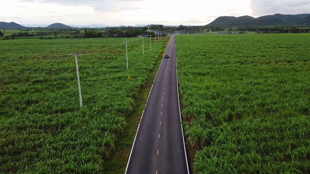 一辆汽车在高速公路上穿过乡间森林的鸟瞰图视频素材