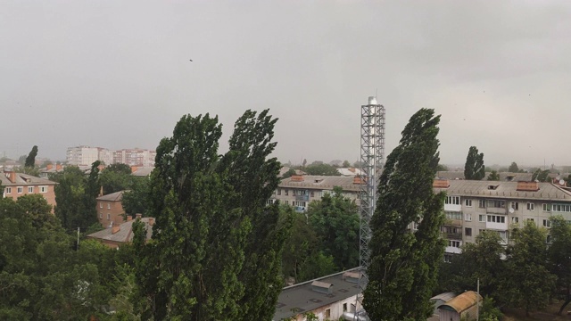 城市上空雷雨交加，狂风吹动树冠视频素材