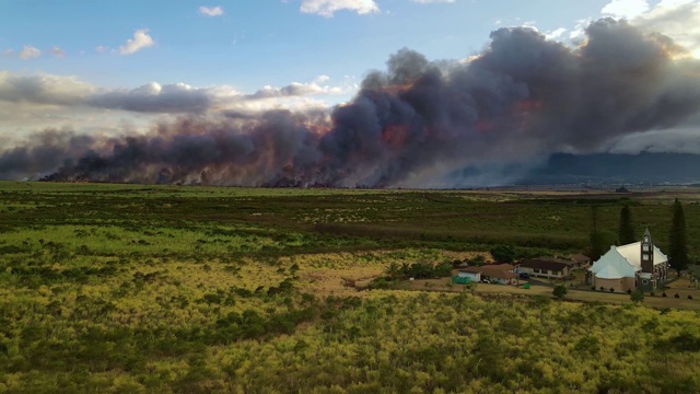 旱地着火了。干旱引起的烟雾火灾。视频素材