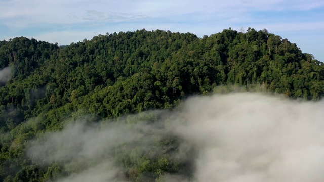 热带雨林和云层的空中塌陷视频素材