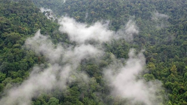 热带雨林和云层的空中塌陷视频素材