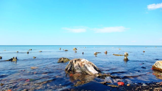 白天波罗的海沿岸的浅水区视频素材