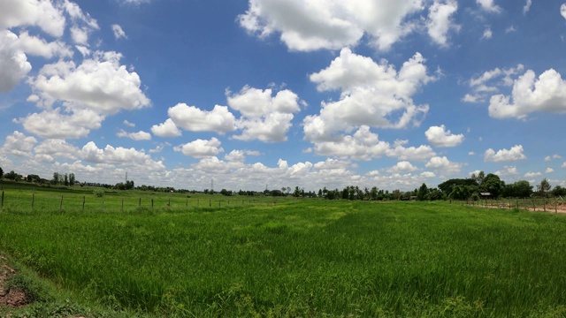 绿色田野上的天空和云朵视频素材