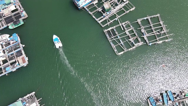 香港南丫岛索罟湾的海鱼养殖筏子视频素材