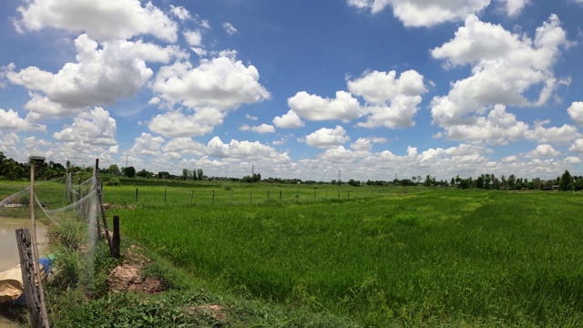 泰国美丽的乡村风景。视频素材